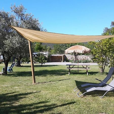 Chambres D'Hotes Des Gens Heureux Saint-Hippolyte-du-Fort Esterno foto